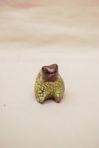 Rain frog