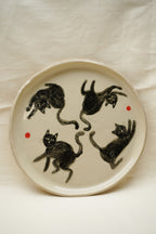 Talerzy w koty kolorowe